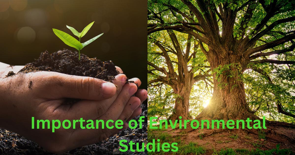 Environmental studies in hindi